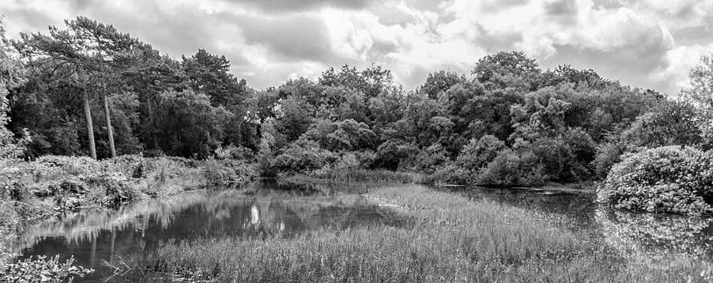 Wall Art - Photograph - Hidden Pool #1 by Nick Bywater