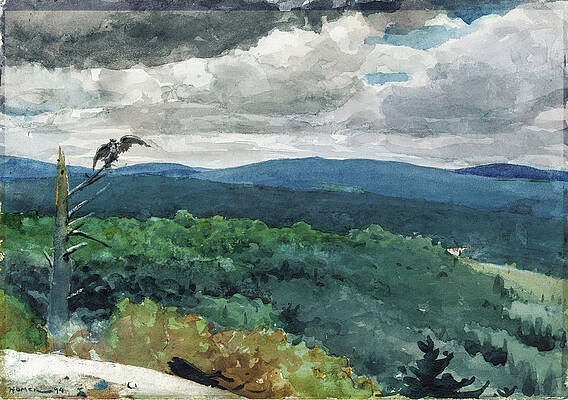 Hilly Landscape Print by Winslow Homer