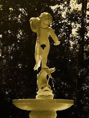In memory of... by Jeannie Crane
