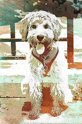 Wall Art - Photograph - Labradoodle-WC 2 #1 by Joye Ardyn Durham