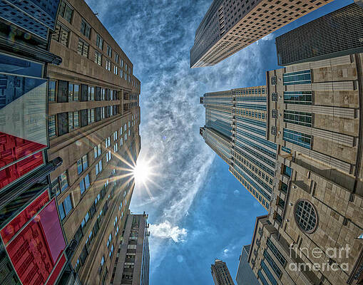 Wall Art - Photograph - Looking Up #1 by Izet Kapetanovic