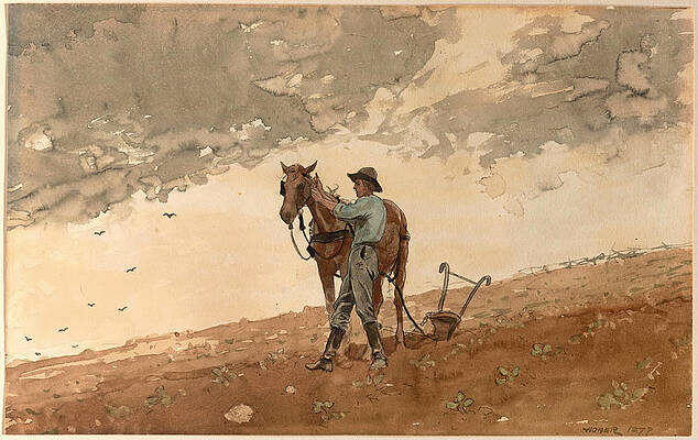 Man with Plow Horse Print by Winslow Homer