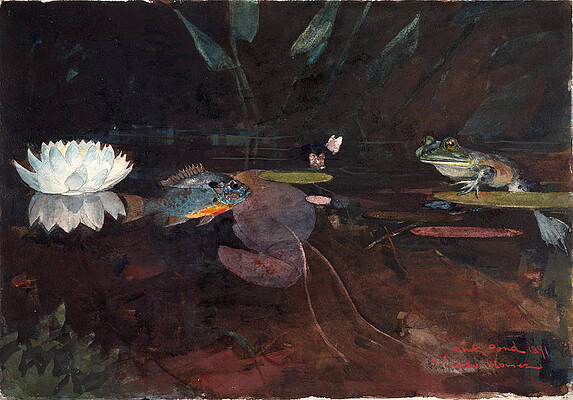 Mink Pond Print by Winslow Homer