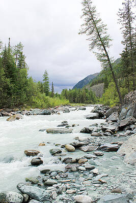 Mountain stream in the forest by Mikhail Piizzoff