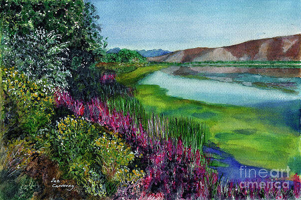 Much to See by Sue Carmony Much to See by Sue Carmony