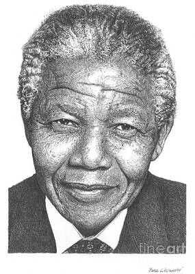 Nelson Mandela Drawings | Fine Art America