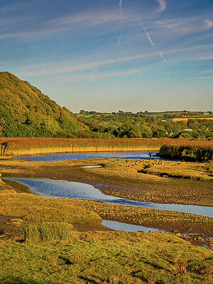 Wall Art - Photograph - Newport Marshes #1 by Mark Llewellyn