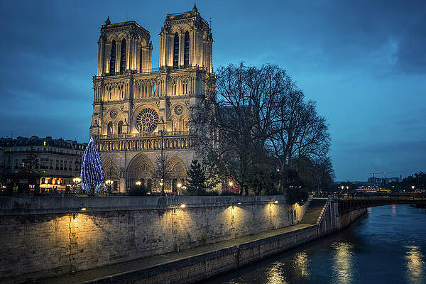 Wall Art - Photograph - Notre Dame #1 by James Billings