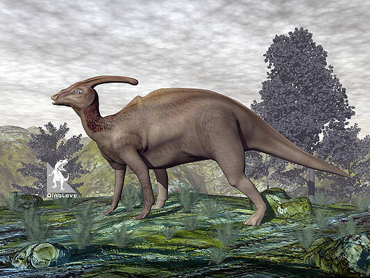 Parasaurolophus dinosaur - 3D render by Elenarts - Elena Duvernay Digital Art Parasaurolophus dinosaur - 3D render by Elenarts - Elena Duvernay Digital Art