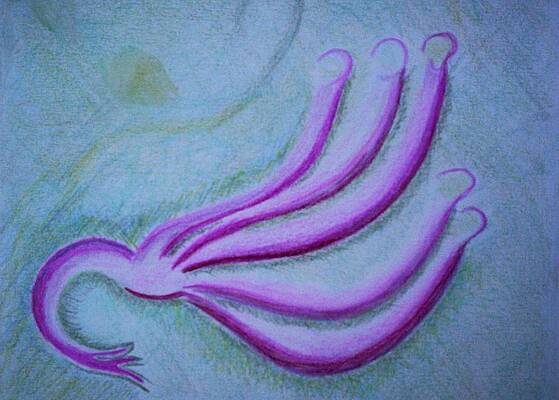 Purity by Suzanne Udell Levinger Purity by Suzanne Udell Levinger