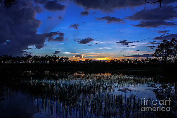 Wall Art - Photograph - 1 by Quinn Sedam