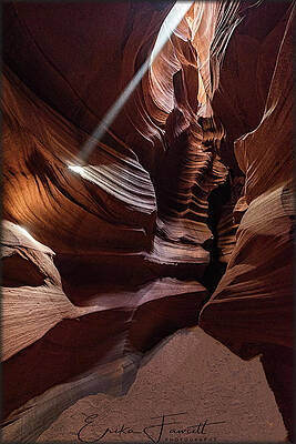 Wall Art - Photograph - Ray of Light #1 by Erika Fawcett