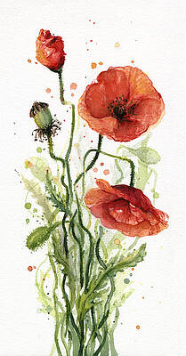 Watercolor Flower Paintings | Fine Art America