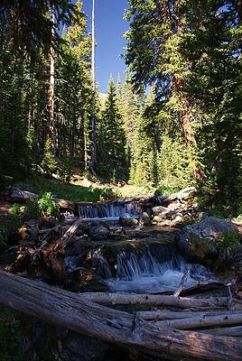 Rocky Mountain summer by Michael J Bauer Photography Rocky Mountain summer by Michael J Bauer Photography