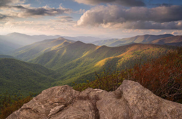 Sam Knob by Derek Thornton Sam Knob by Derek Thornton