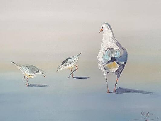 Seagulls by Kathy Karas Seagulls by Kathy Karas