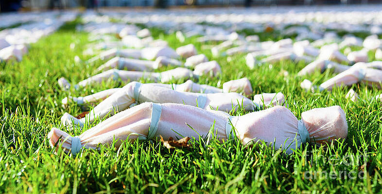Wall Art - Photograph - Shrouds of the Somme #2 by Colin Rayner