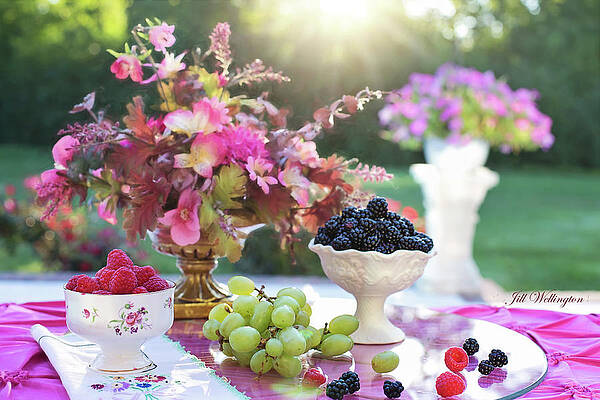 Still Life by Jill Wellington Still Life by Jill Wellington