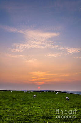 Wall Art - Photograph - Sunrise by Redcar Tarn #1 by Mariusz Talarek
