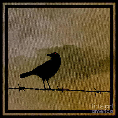 Barbed Wire Fence Paintings Fine Art America