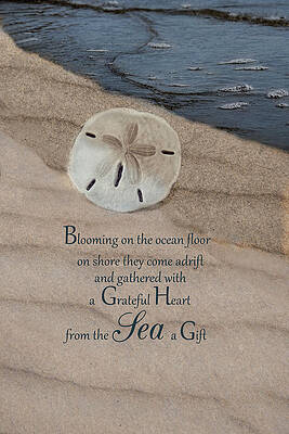 Wall Art - Photograph - The Gift #1 by Robin-Lee Vieira