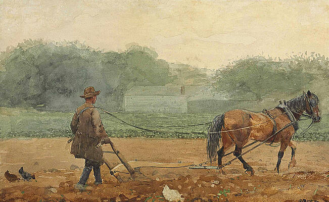 The Plowman Print by Winslow Homer