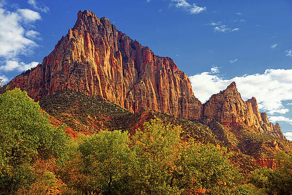 Wall Art - Photograph - The Watchman #1 by Raymond Salani III