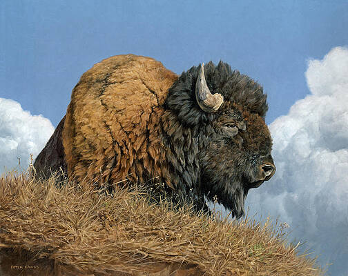 Thunder Beast by Peter Eades Thunder Beast by Peter Eades