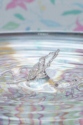 Water drops by Monika Graefling-Gladysiak