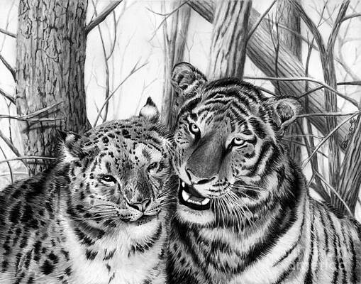 Wall Art - Drawing - When Two Hearts Collide by Peter Piatt