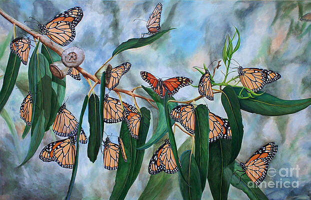 Winter in Pismo by Karen Peterson Winter in Pismo by Karen Peterson