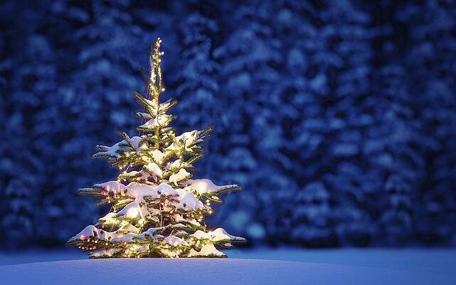 Wall Art - Digital Art - Christmas #19 by Maye Loeser