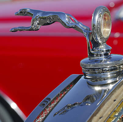 Ford Greyhound Hood Ornament Wall Art Fine Art America