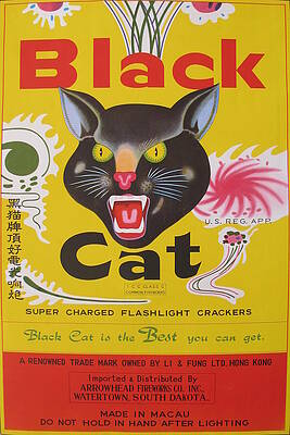 Firecracker Paintings Fine Art America
