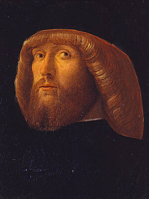 A Bearded Man Print by Giovanni Bellini