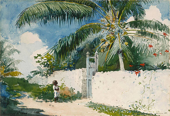 A Garden in Nassau Print by Winslow Homer