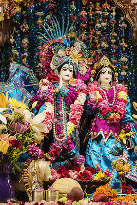 Hare krishnas hi-res stock photography and images - Alamy