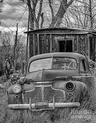 2 by Bitter Buffalo Photography 2 by Bitter Buffalo Photography