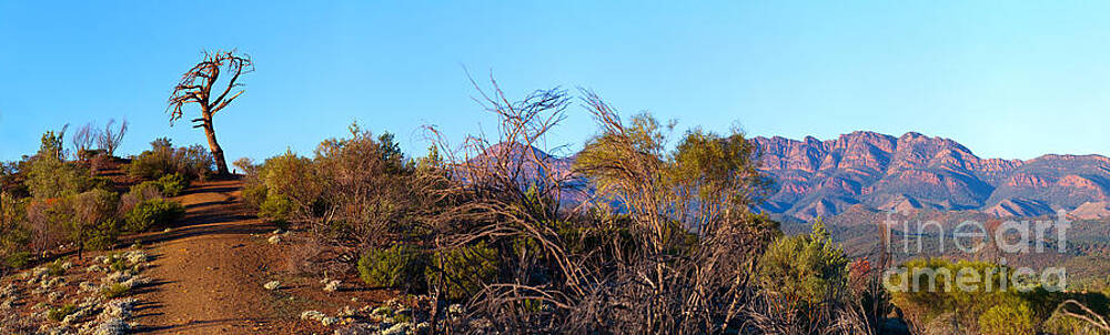 Wall Art - Photograph - Bunyeroo Valley #2 by Bill  Robinson