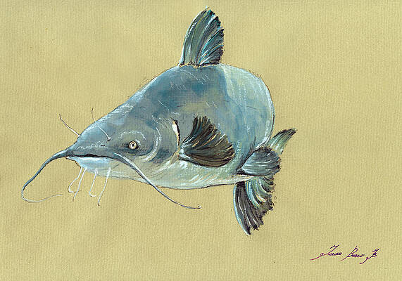 Wall Art - Painting - Channel Catfish fish animal watercolor painting #2 by Juan  Bosco