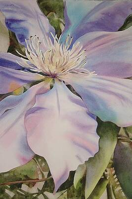 Clematis by Marlene Gremillion Clematis by Marlene Gremillion