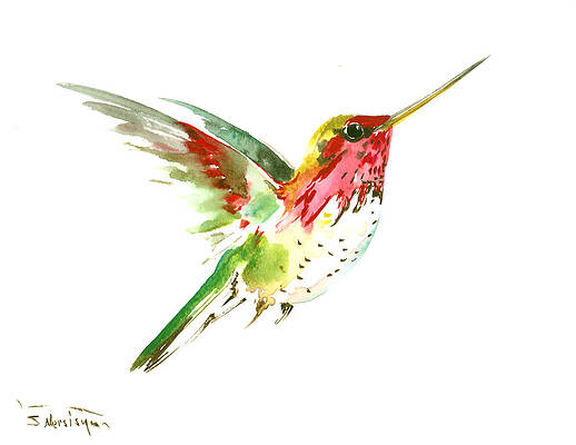 metallic colours hit finish pen and ink illustration handmade eco friendly vegan art ORIGINAL ARTWORK Rufous hummingbird by Morgana weeks