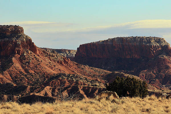 Wall Art - Photograph - Ghost Ranch #2 by David Diaz