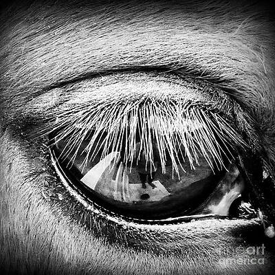 Just a Reflection by Rabiah Seminole Just a Reflection by Rabiah Seminole
