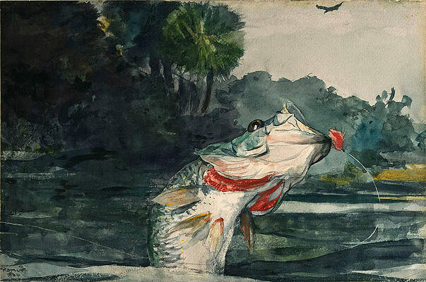 Life-Size Black Bass Print by Winslow Homer