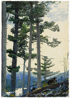 Old Settlers Print by Winslow Homer