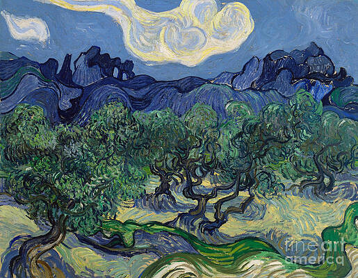 Wall Art - Painting - The Olive Trees, 1889 by Vincent Van Gogh