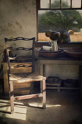Wall Art - Photograph - Window Seat #2 by Robin-Lee Vieira
