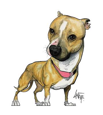 cute pitbull dog drawing