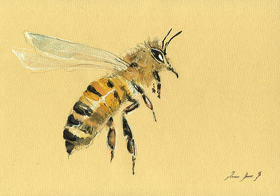 Bee Paintings Fine Art America